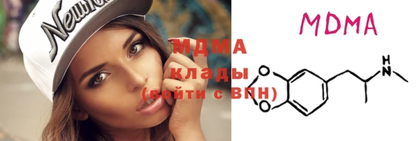дживик Няндома