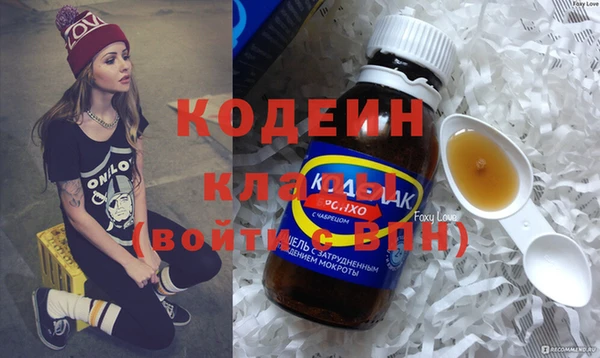 дживик Няндома