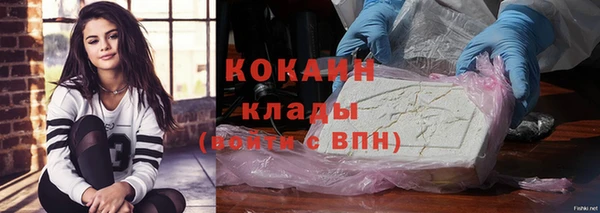 прущие грибы Абдулино