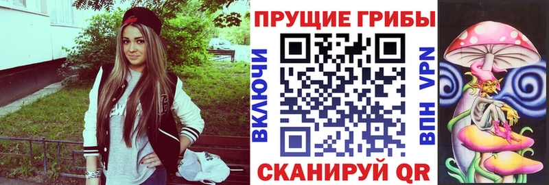 нарко площадка клад  Белгород  Галлюциногенные грибы мицелий 